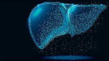 Microbiome changes in chronic liver disease highlight the need for personalised treatment