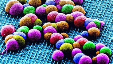 Nanoneedle Technology Corrects Genetic Mutation in Rare Skin Disease