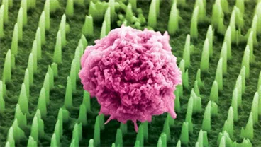 Tens of millions of nanoneedles could replace painful cancer biopsies