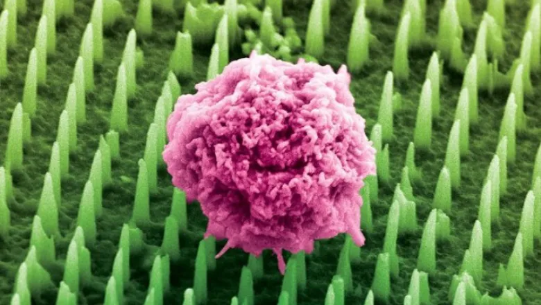 Colourised image depicting nanoneedles with molecular informaton