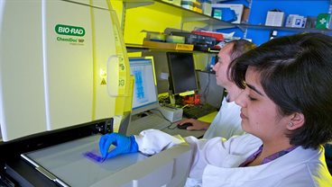 Postgraduate Research