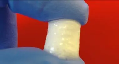 Porous scaffolds for bone tissue engineering
