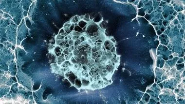 Harnessing secreted matrix proteins to regulate stem cell differentiation in 3D