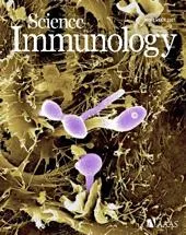 Candida immunity