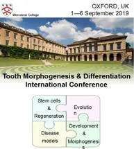 Tooth Morphogenesis and Differentiation Conference