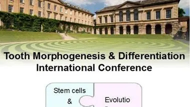 Tooth Morphogenesis and Differentiation Conference