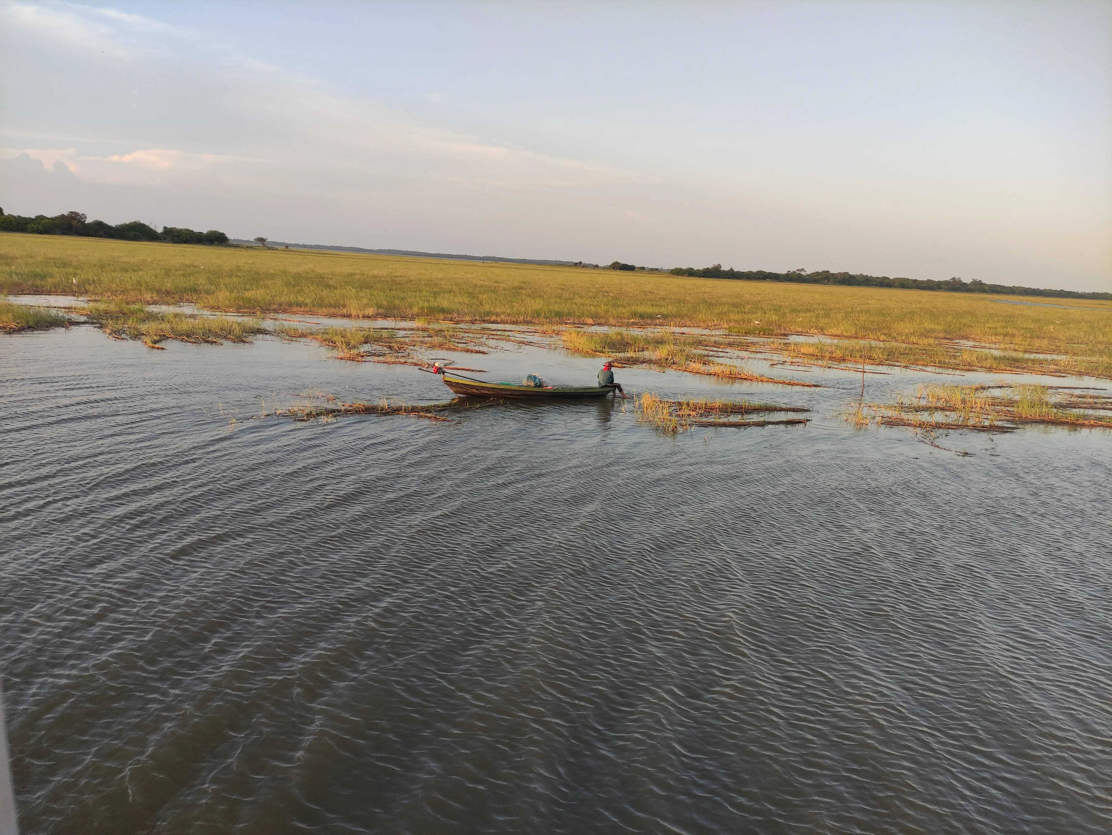 Small boat on a marshy river