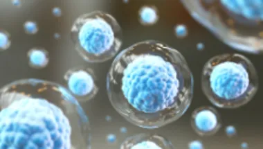T cells