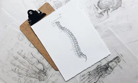 Chart with an illustration of the human spine