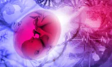 fetus dna