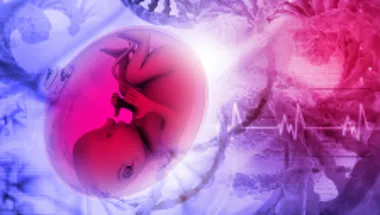 fetus dna