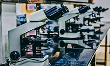 Row of microscopes