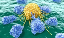 immune cell 223