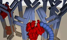 Immunoglobulin E