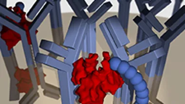 Immunoglobulin E