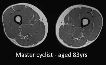 Master cyclist