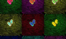 stroud lab project 3