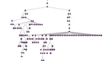 B cells in human gut Spencer Lab