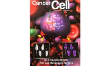 Cancer cell proj 1 Eri