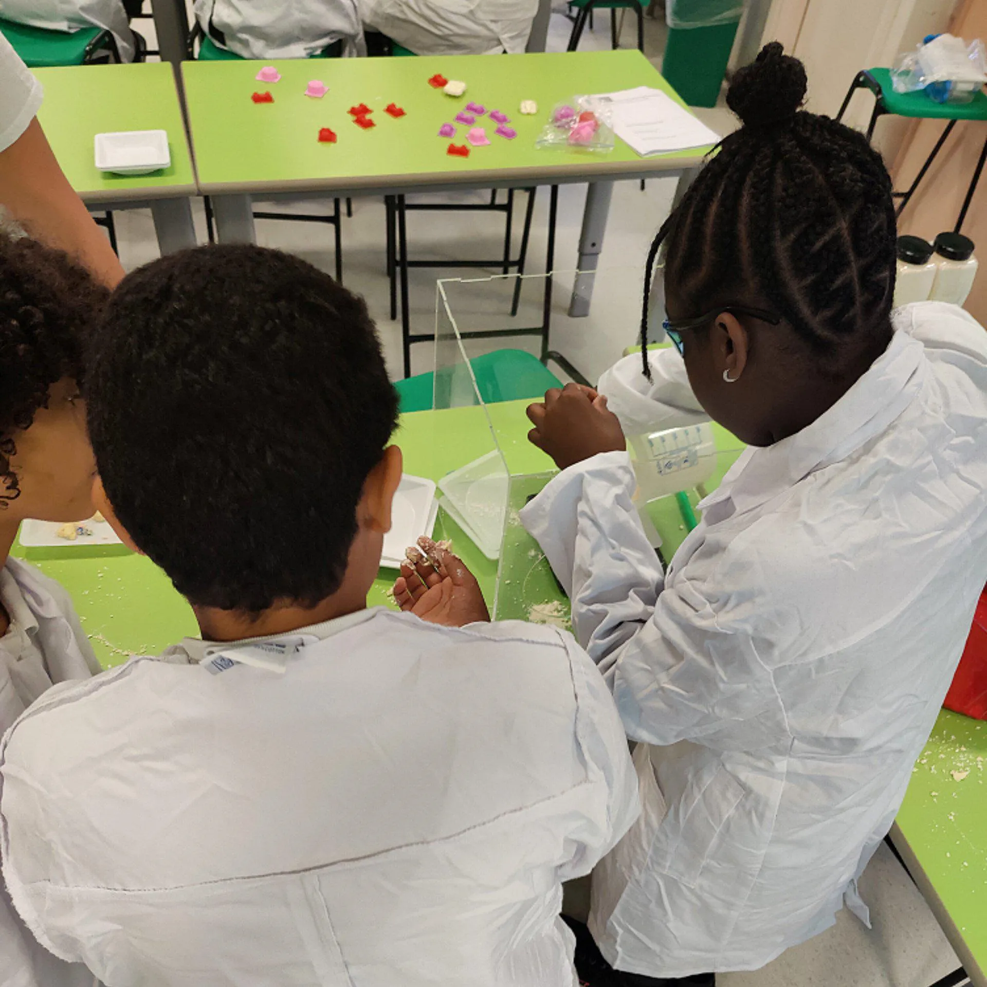 Loughborough Primary School Year 6 Science Workshop