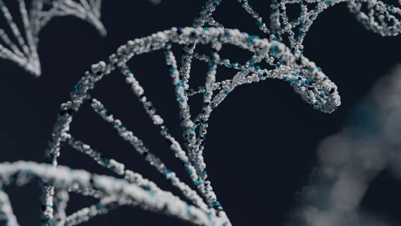 DNA helix