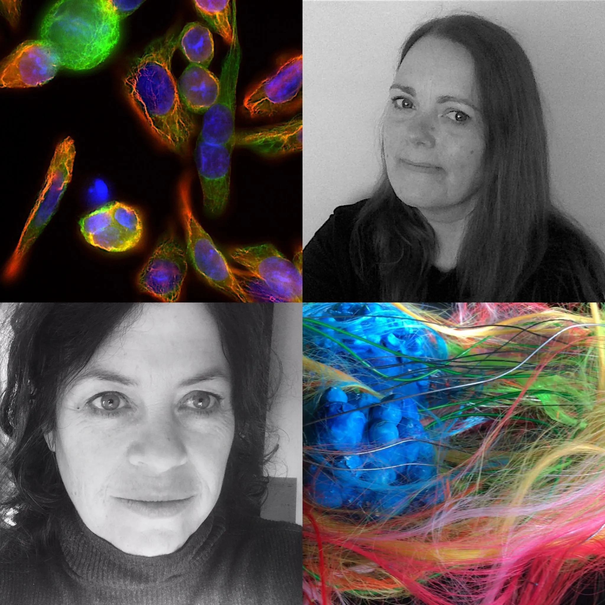 Immunoflourescence