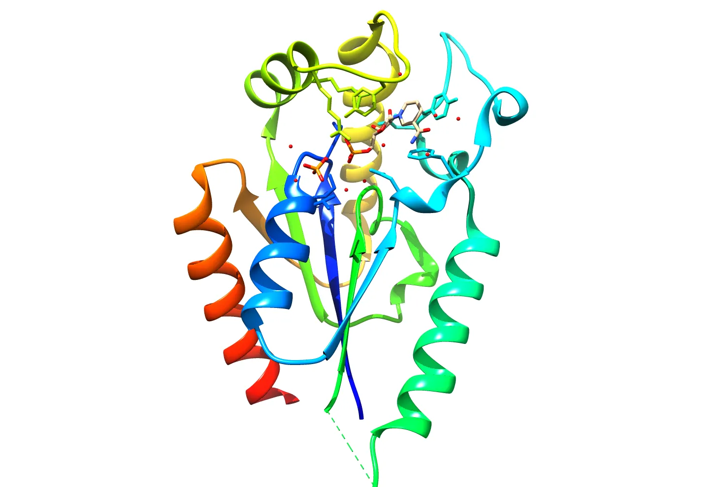 Crystal structure of NMRK1