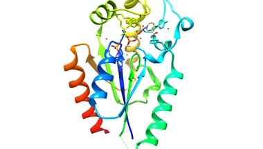 Crystal structure of NMRK1