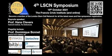 stemcellnetwork