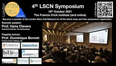 stemcellnetwork