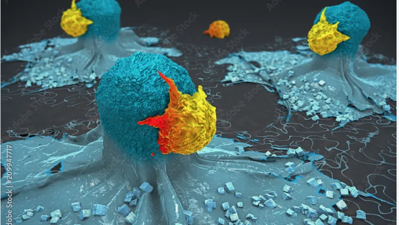 cell tracking to safe guard cancer therapy'