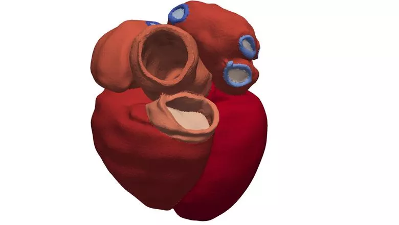 novel algorithms could predict heart health
