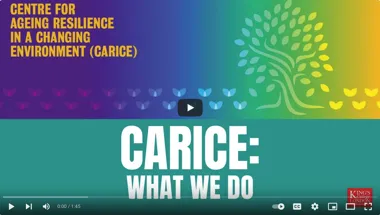 CARICE - video showing what we do