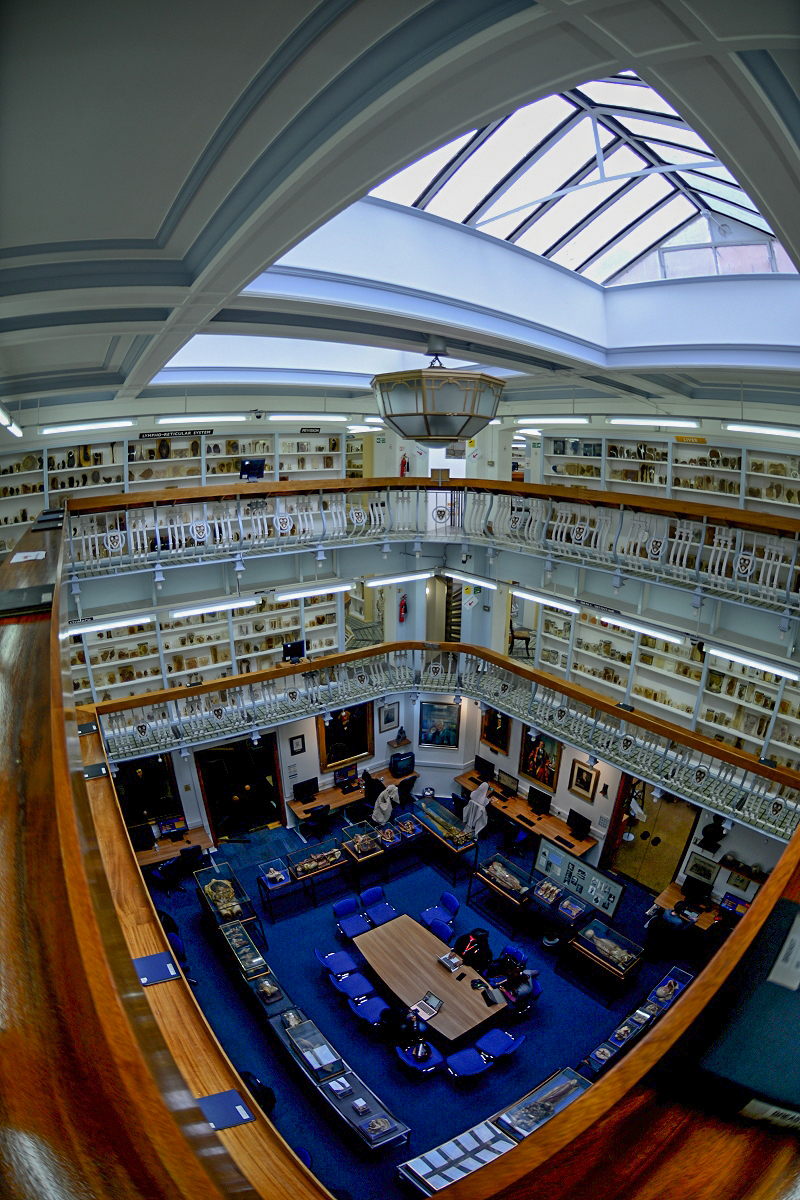 Gordon Museum - the Joe Daws room, seen from above