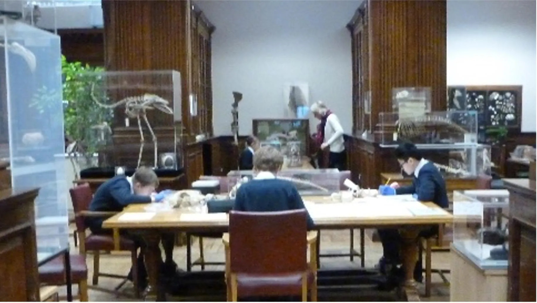 School in the Museum of Life Sciences