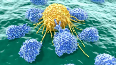 Lymphocytes attacking a cancer cell