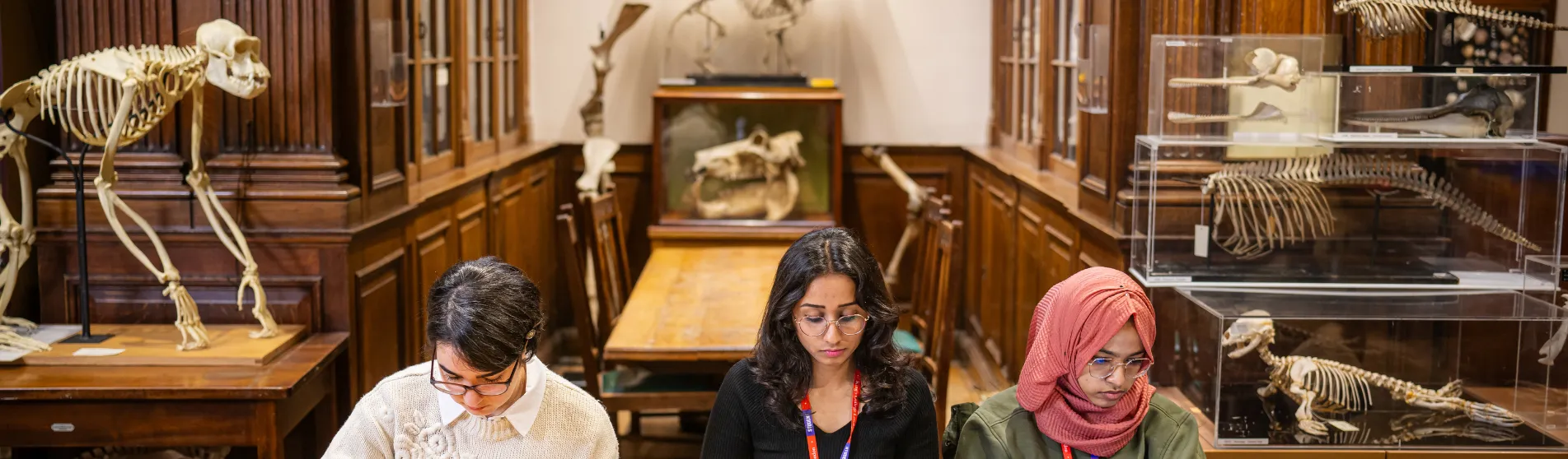 Students studying in the museum of life sciences
