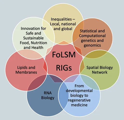 FoLSM Research Interest Groups - Innovation for Safe and Sustainable Food, Nutrition and Health; Membranes and Lipids; RNA Biology; From developmental biology to regenerative medicine; Spatial Biology Network; Statistical and Computational genetics and genomics; and Inequalities – Local, national and global