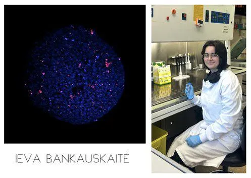 Ieva Bankauskaite_MSci_photo