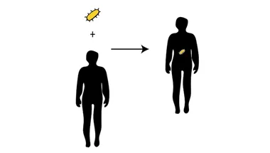 Project 3 - Predict the impact of macrophage-targeted perturbations in patients suffering from invasive salmonellosis