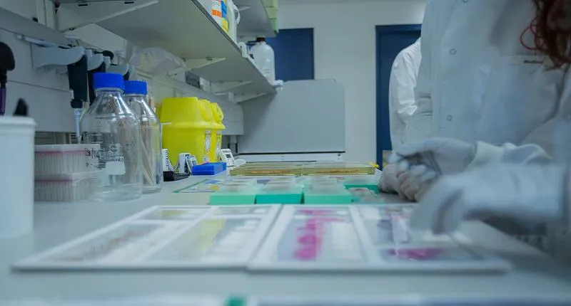 lab bench