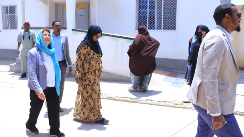 Somaliland hospital assessments tour