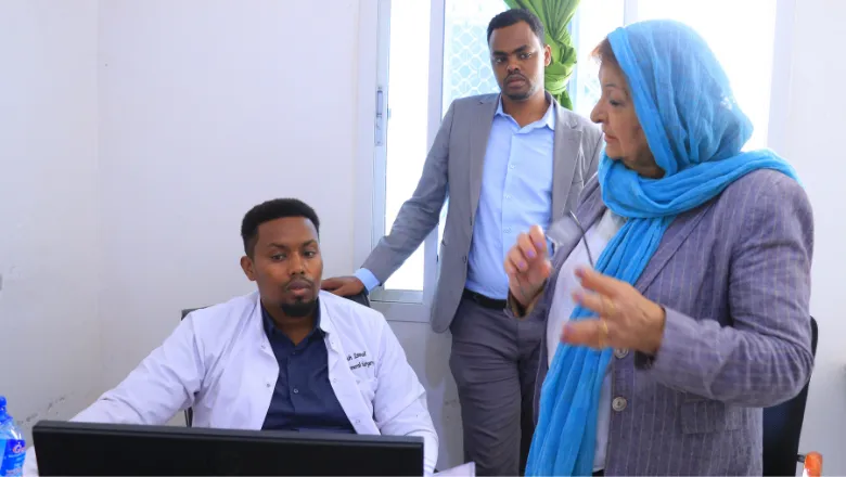 WHO expert and doctor at hospital assessments Somaliland