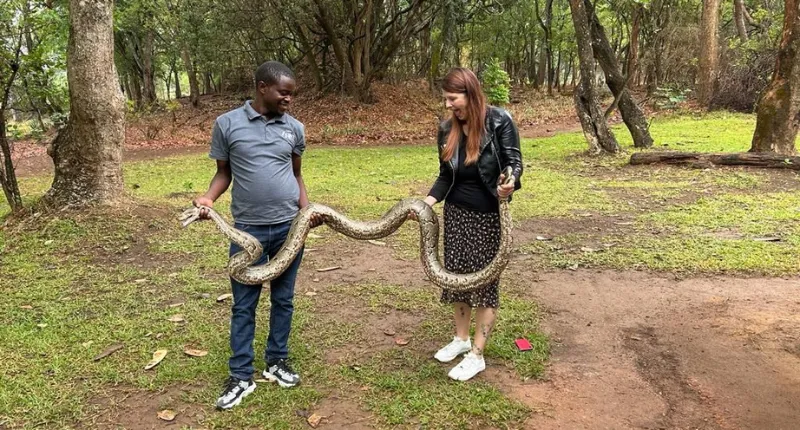 KGHP Volunteer Lucy Hines holding a python in Zambia