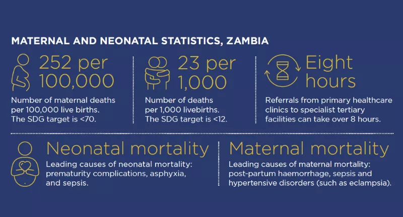 Maternal and neonatal baseline study Zambia infographics