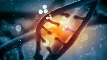 Introduction to Genomic Medicine