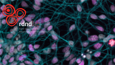 Rare Disease and Neurodevelopmental Disorders