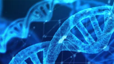 dna b