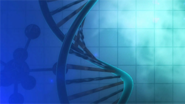 Immunogenomics