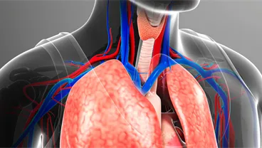 Respiratory Epigenetics